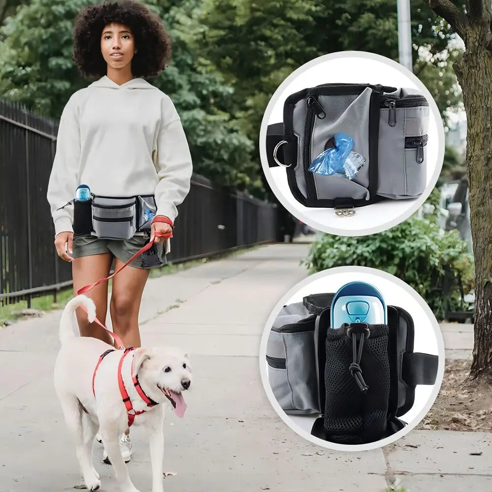 Dog Walk Belt