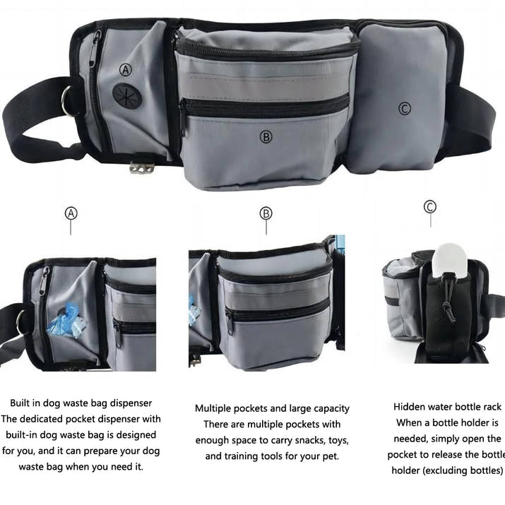Dog Walk Belt