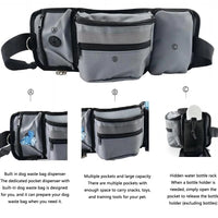 Dog Walk Belt