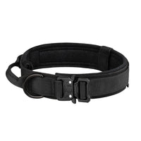 Dog Collar